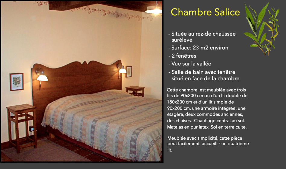 Chambre Salice