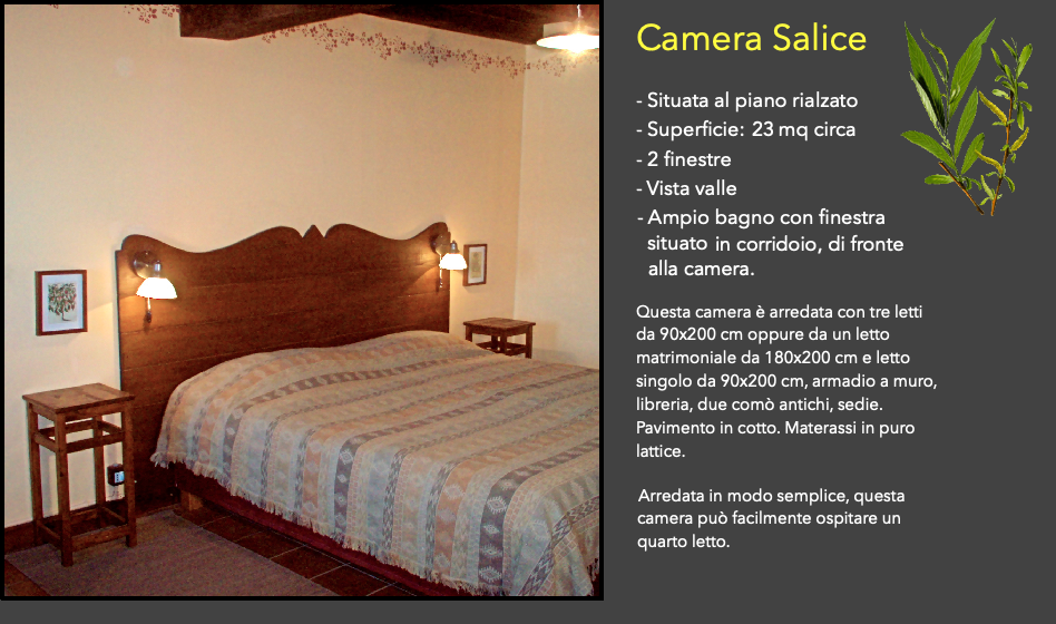 Camera Salice